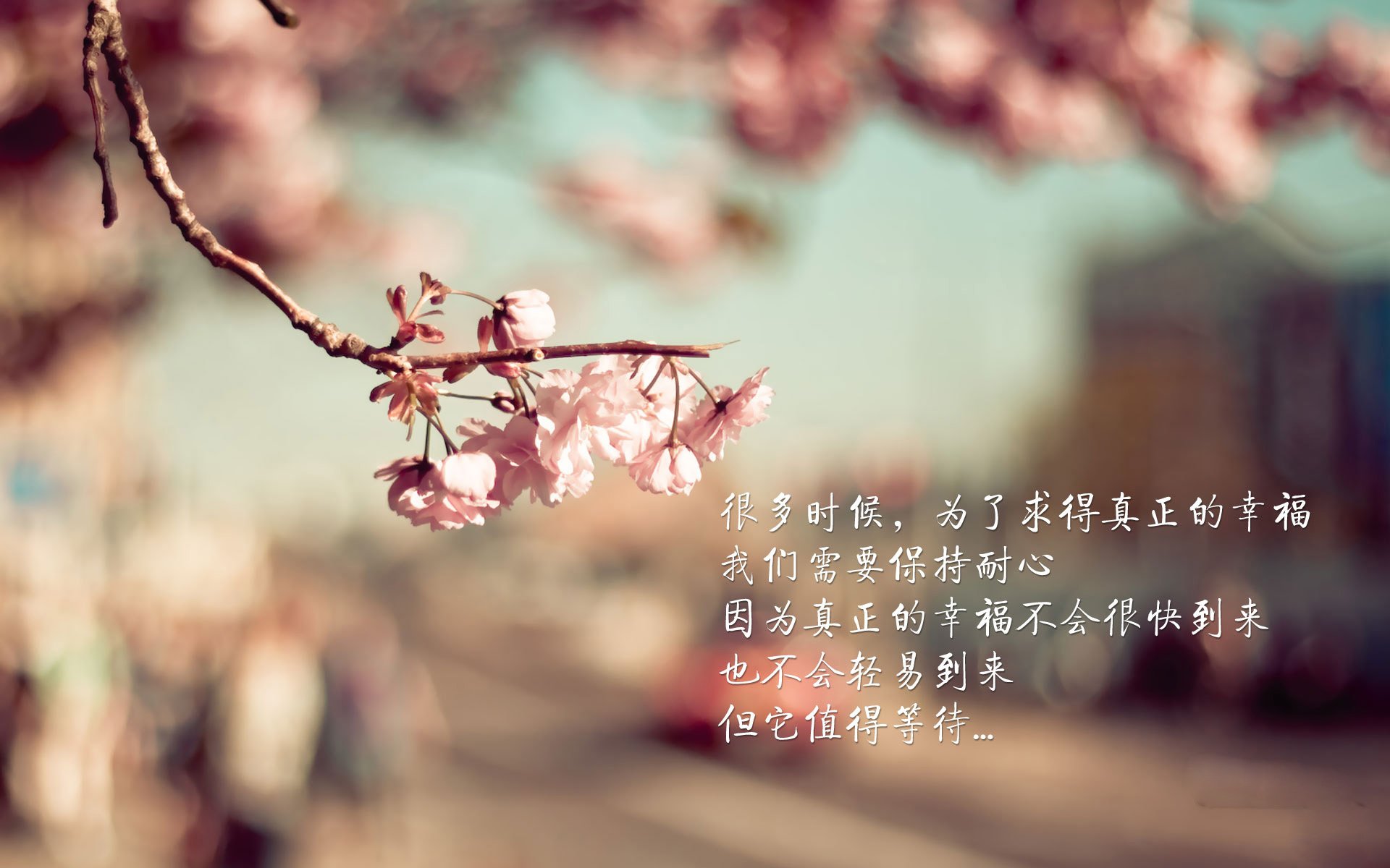 赛场上的“智慧机器人”：未来科技带来的变革，智能机器人赛道