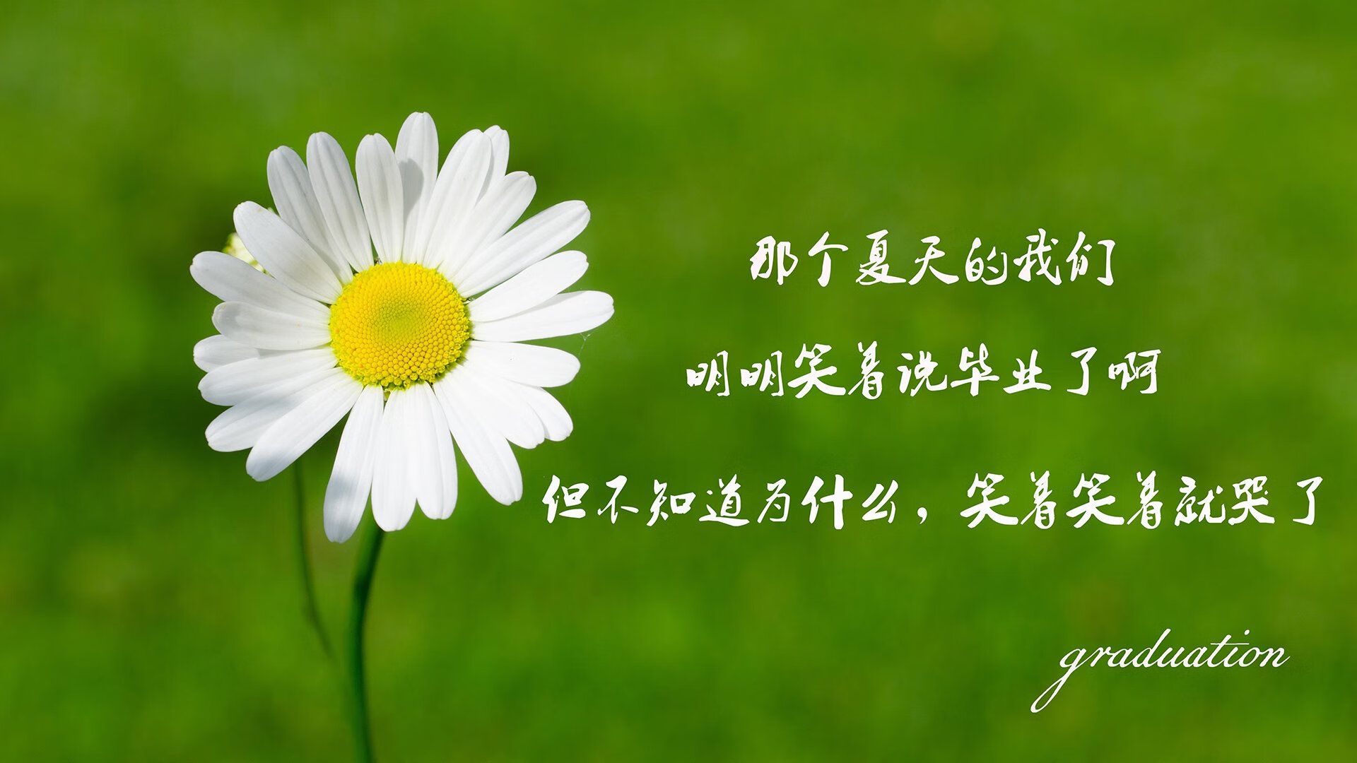 女足世界杯赞助商名单揭晓，女足的赞助商