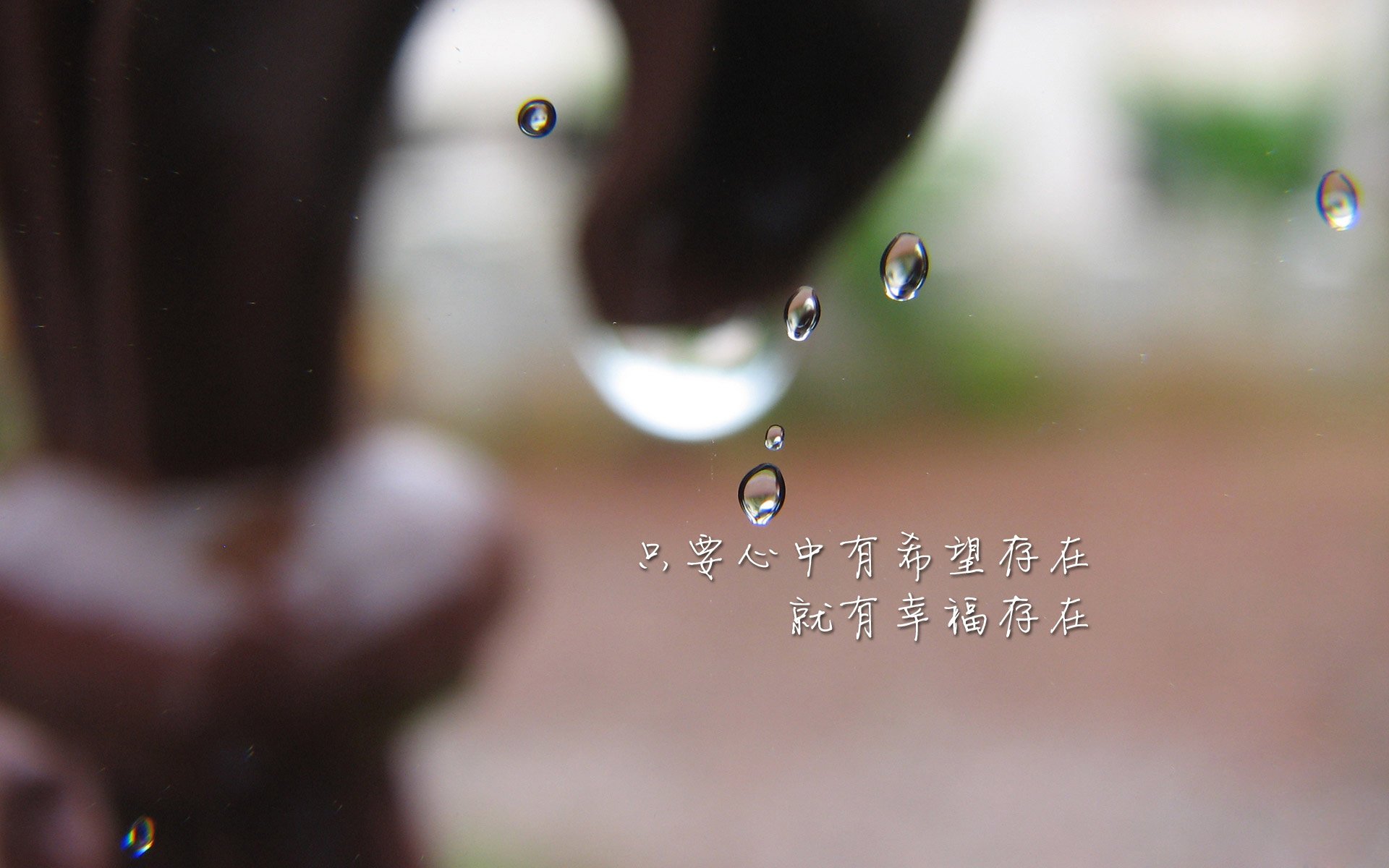 德甲超级快攻：瞬间突破，赢得喝彩！，德甲冲刺速度最快球员