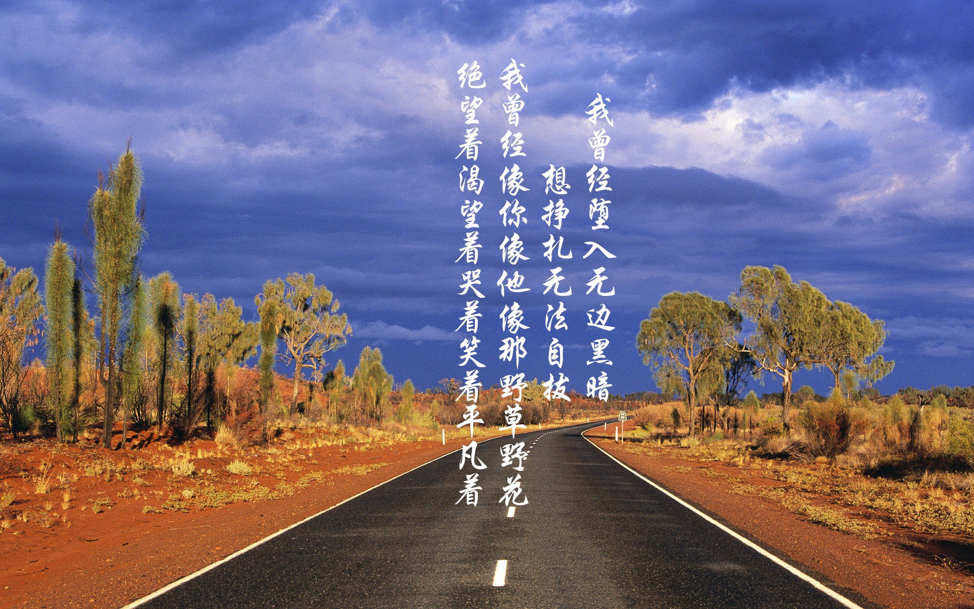 苏炳添获评年度体育影响人物，苏炳添受影响