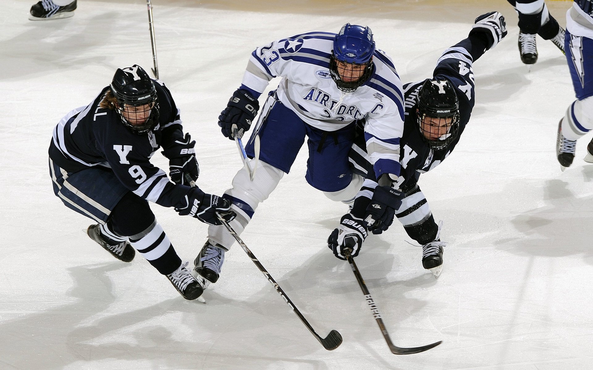 阿根廷大学与国际马术组织合作，成立马术科研中心，推动马术科技进步。